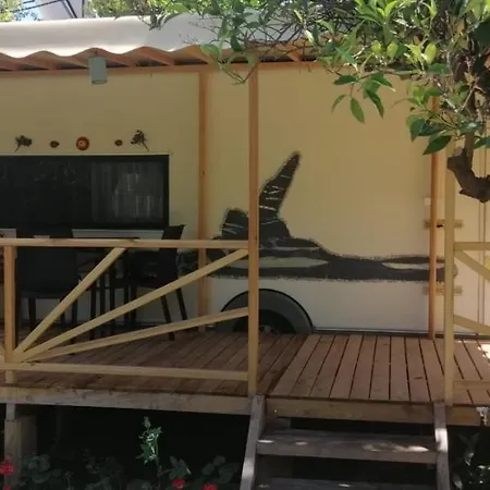 Kara Kedi Çıralı