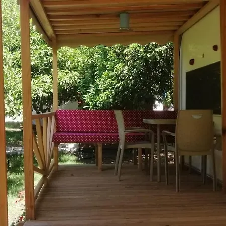 Kara Kedi Frühstückspension Çıralı